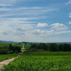 Meet your Posher, Jessie